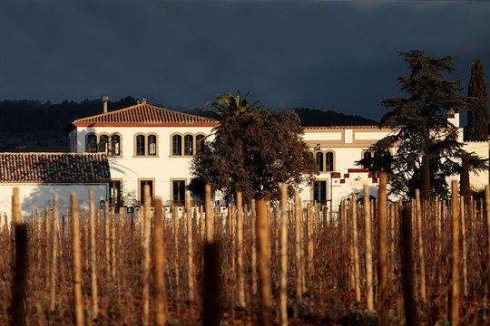 Tour image 6