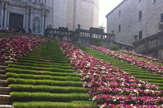 Tour image 8