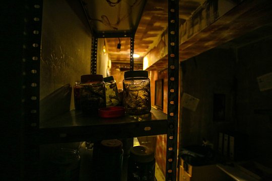 Tour image 6