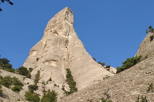 Tour image 5