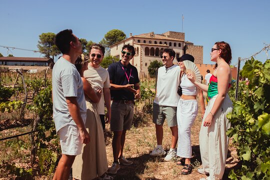 Tour image 4